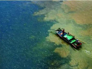 深圳水質(zhì)檢測機構