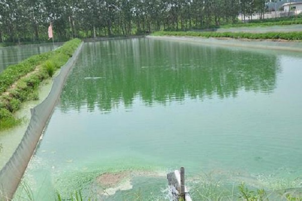 廣東漁業(yè)養(yǎng)殖水質(zhì)檢測價(jià)格和項(xiàng)目